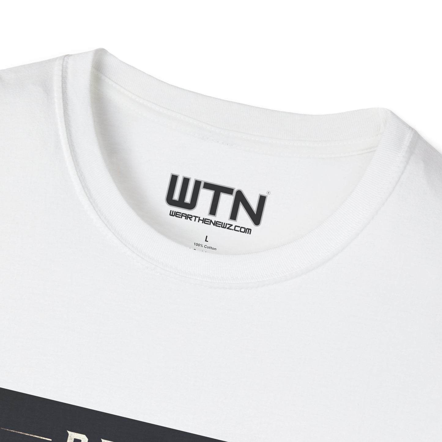Detroit Lions Inspired Mens Graphic Tee | Womens Graphic Tee | Awesome T Shirts